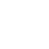 Icon Fitness
