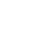 Icon Tests