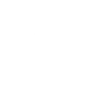 Icon Vos